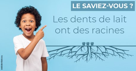 https://dr-sebastien-ginfray.chirurgiens-dentistes.fr/Les dents de lait 2