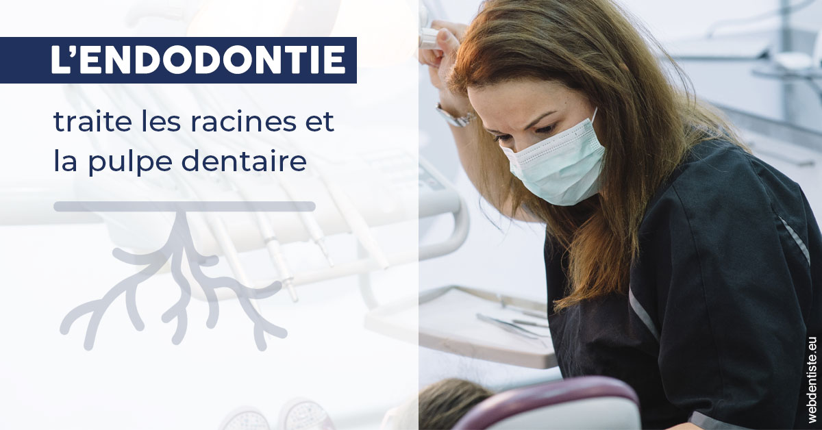 https://dr-sebastien-ginfray.chirurgiens-dentistes.fr/L'endodontie 1
