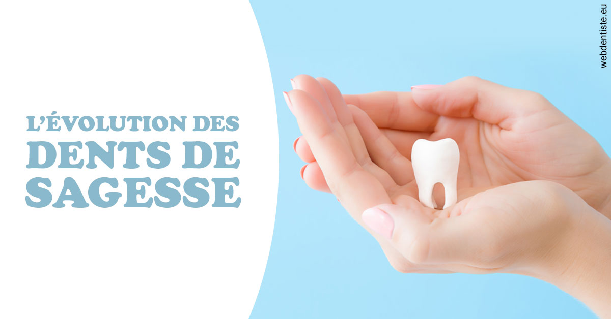 https://dr-sebastien-ginfray.chirurgiens-dentistes.fr/Evolution dents de sagesse 1
