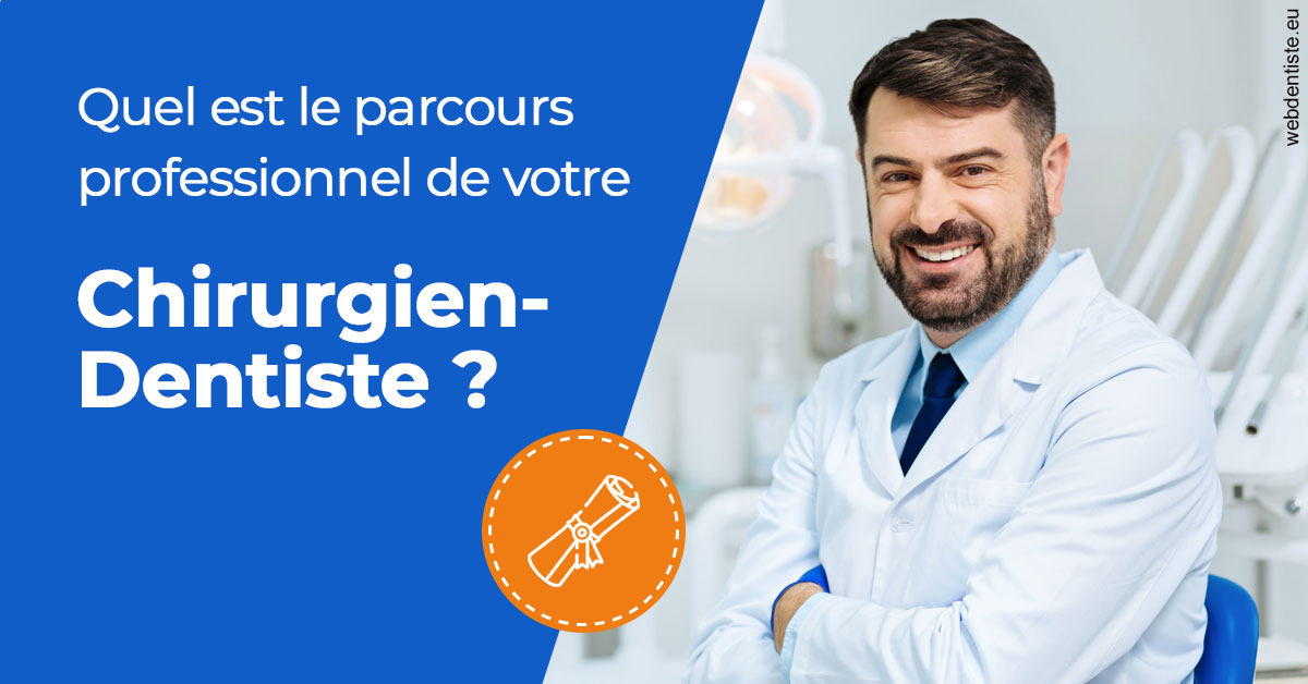 https://dr-sebastien-ginfray.chirurgiens-dentistes.fr/Parcours Chirurgien Dentiste 1
