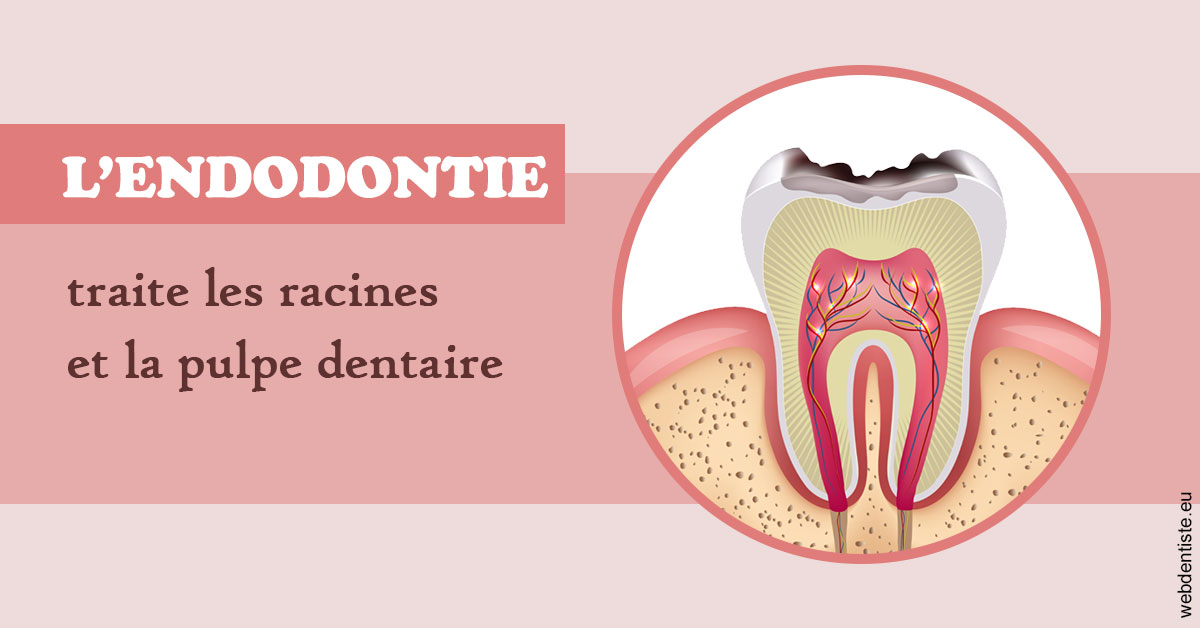 https://dr-sebastien-ginfray.chirurgiens-dentistes.fr/L'endodontie 2