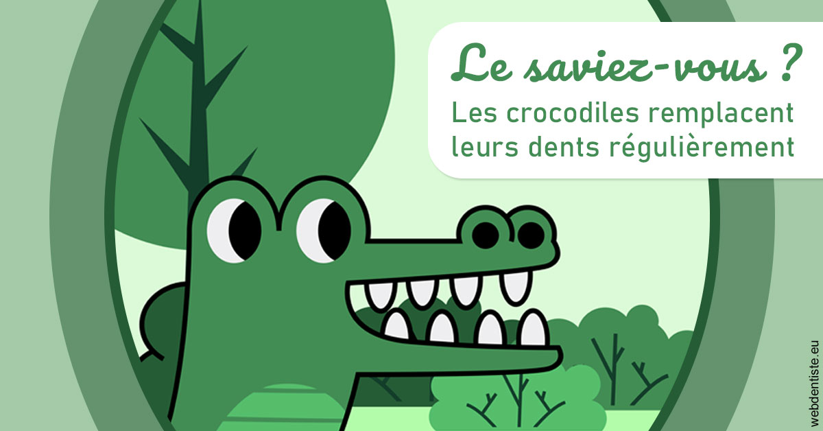 https://dr-sebastien-ginfray.chirurgiens-dentistes.fr/Crocodiles 2