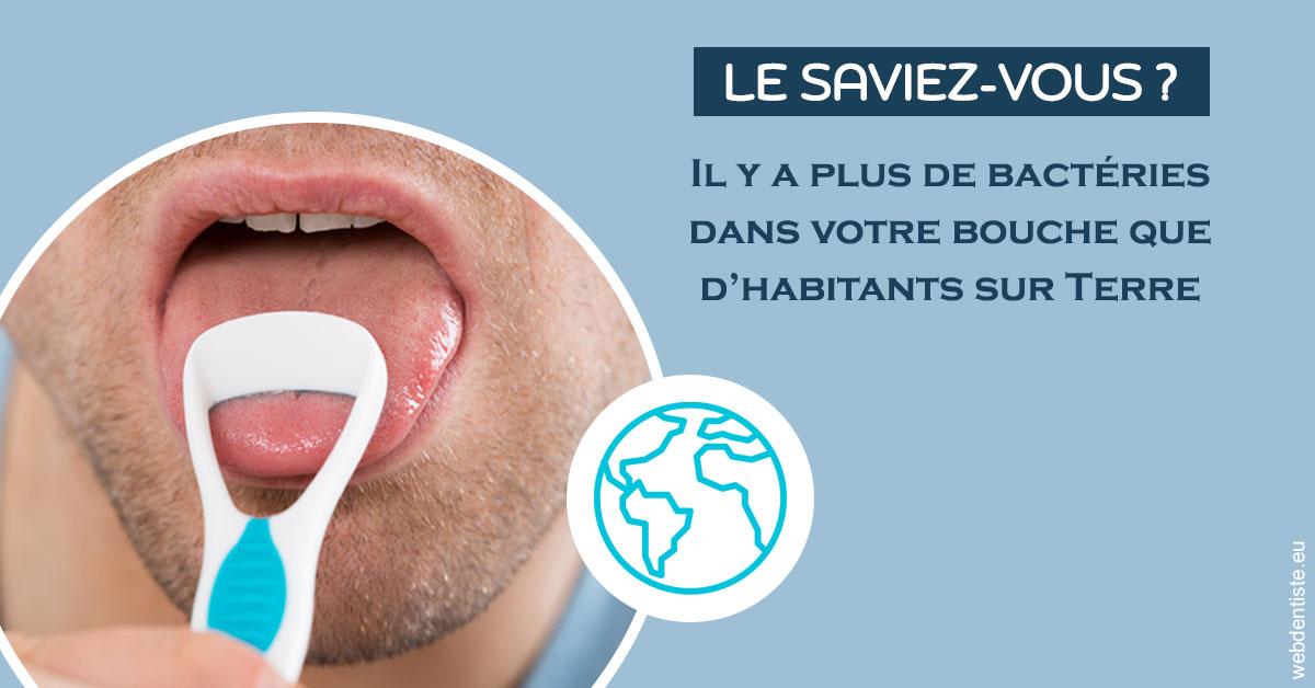 https://dr-sebastien-ginfray.chirurgiens-dentistes.fr/Bactéries dans votre bouche 2
