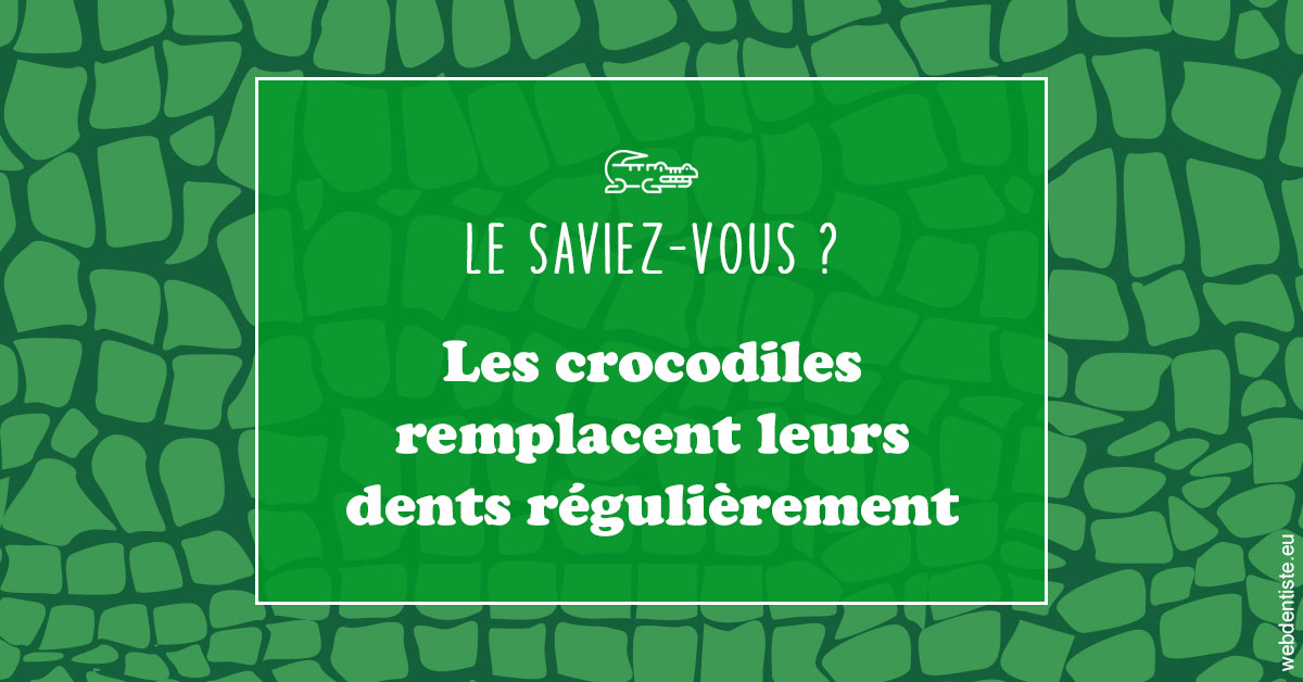 https://dr-sebastien-ginfray.chirurgiens-dentistes.fr/Crocodiles 1